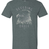 Receding Eagle