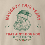 Don't Test Santa